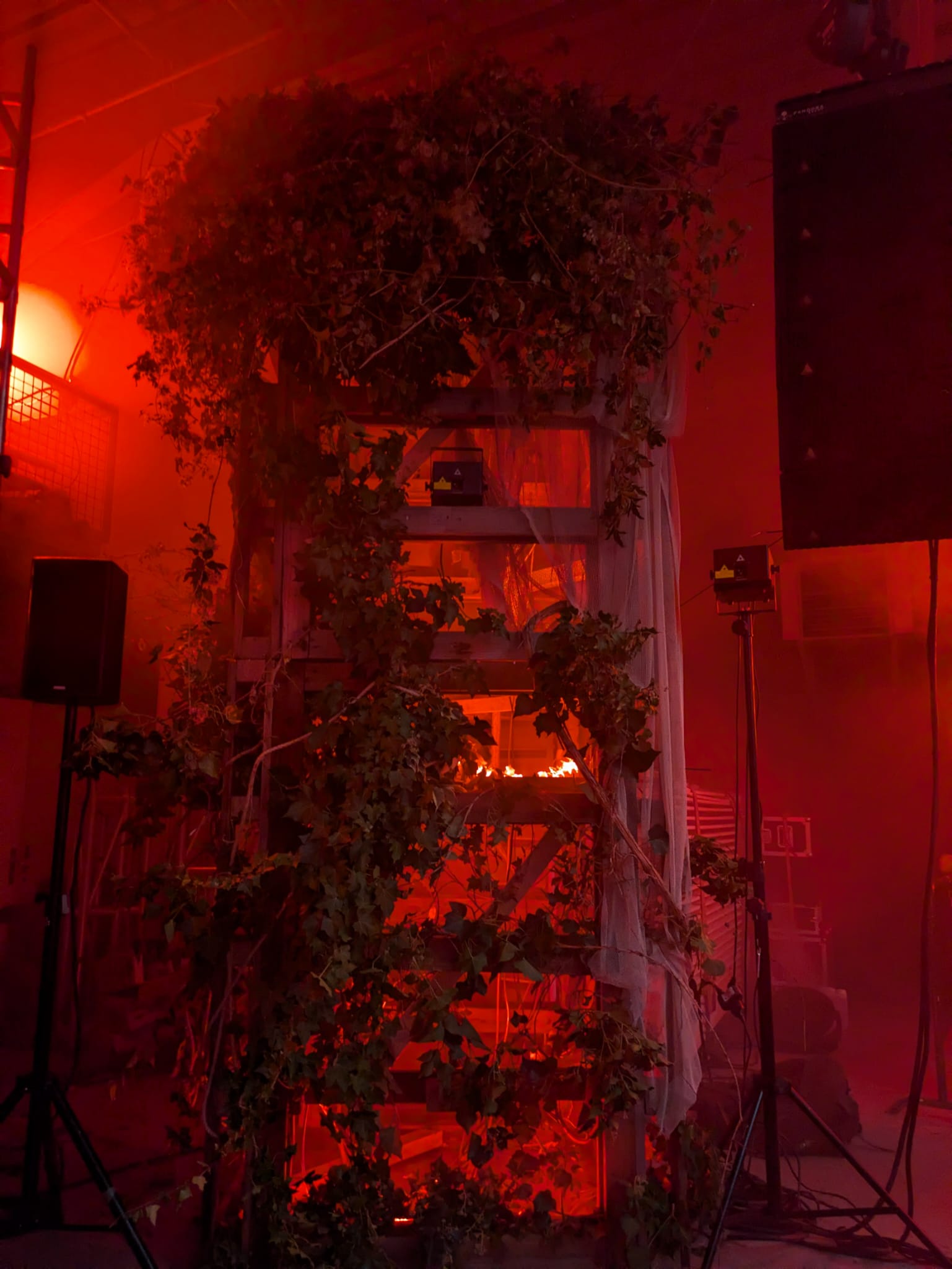scenographie-vegetale-sur-mesure